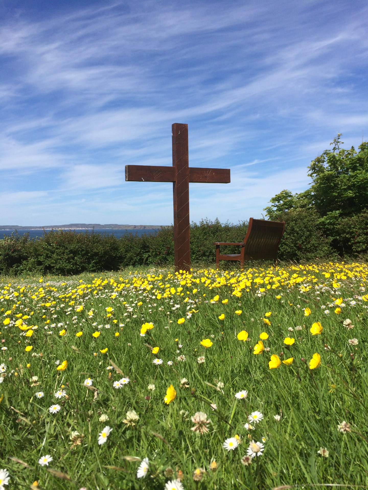 flower cross